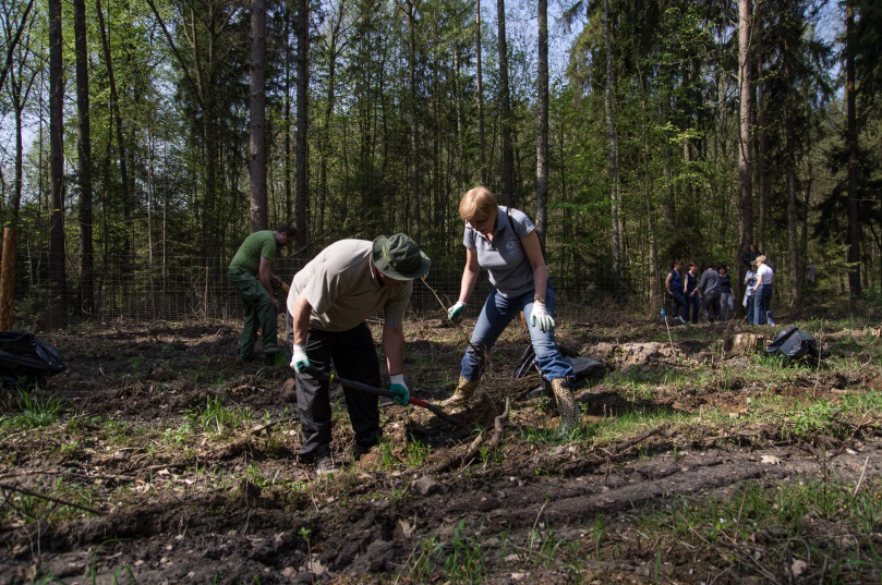 Finansowanie planów gospodarki Wymagana zawartość 1.