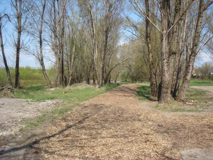 Akcje porządkowe sprzątanie Wisły W tym roku znad Wisły usuniętych zostanie ponad 28 tyś.