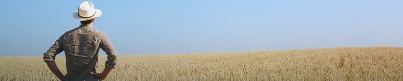 ** Obowiązkowe wykonanie co najmniej jednego zabiegu agrotechnicznego polegającego na usuwaniu niepożądanej roślinności w terminie do dnia 31 lipca danego roku.