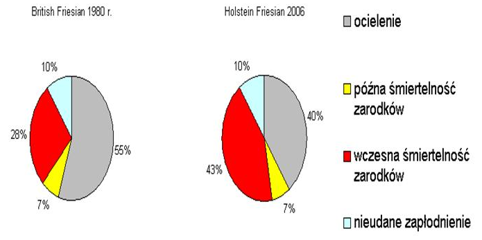 Ryc.9. Częstość utrat ciąż u bydła w Kanadzie z uwzględnieniem sposobu jego użytkowania w latach 1993 1995 (Alves i wsp.