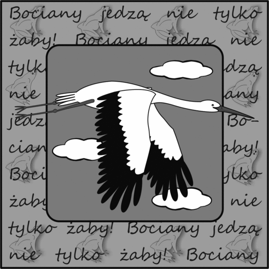 A to ciekawe! Czy bociany jedzą tylko żaby? Bocian biały jest dużym ptakiem, który występuje na otwartych wilgotnych terenach, często w pobliżu ludzkich osad.