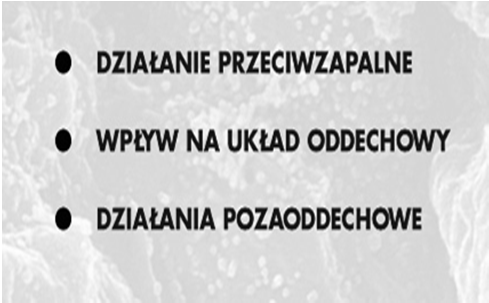 DZIAŁANIA NIEPOŻĄDANE DZIAŁANIA NARZĄDOWE 43 46 TEOFILINA I POCHODNE Rola w leczeniu astmy: zapobieganie objawom, przewlekła kontrola objawów, zwłaszcza nocnych, należy dążyć do utrzymywania stałego