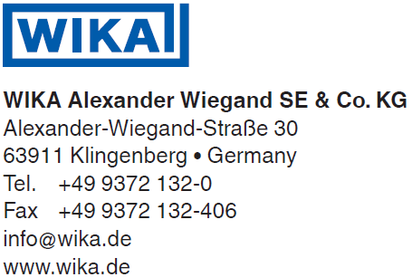 Firma WIKA na świecie Inne spółki