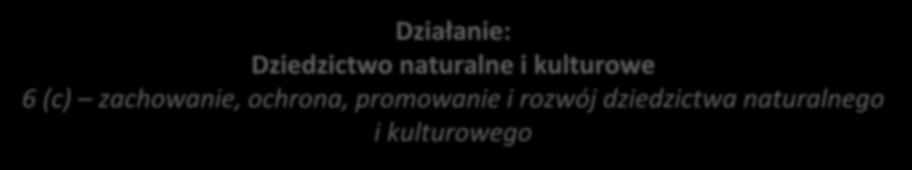 POŁUDNIOWY BAŁTYK 2014-2020 Wykorzystanie potencjału środowiskowego i kulturalnego obszaru Południowego Bałtyku na rzecz niebieskiego i zielonego wzrostu Działanie: Dziedzictwo naturalne i kulturowe