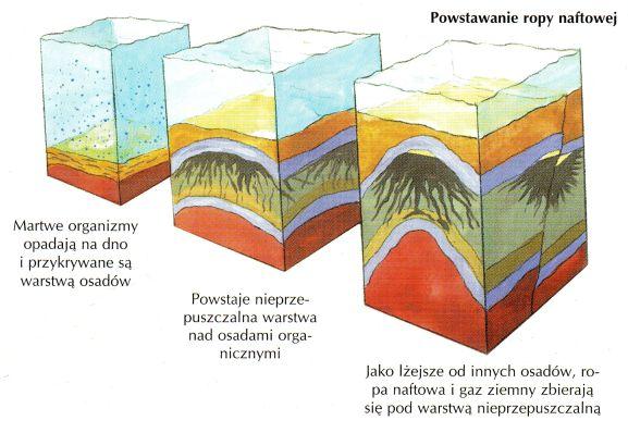 Teoria organiczna powstania Ropy Teoria organiczna-ta została stworzona m.in. przez: B. Radziszewskiego, K. Englera, H. Höfera, J.E. Hackforda, D.