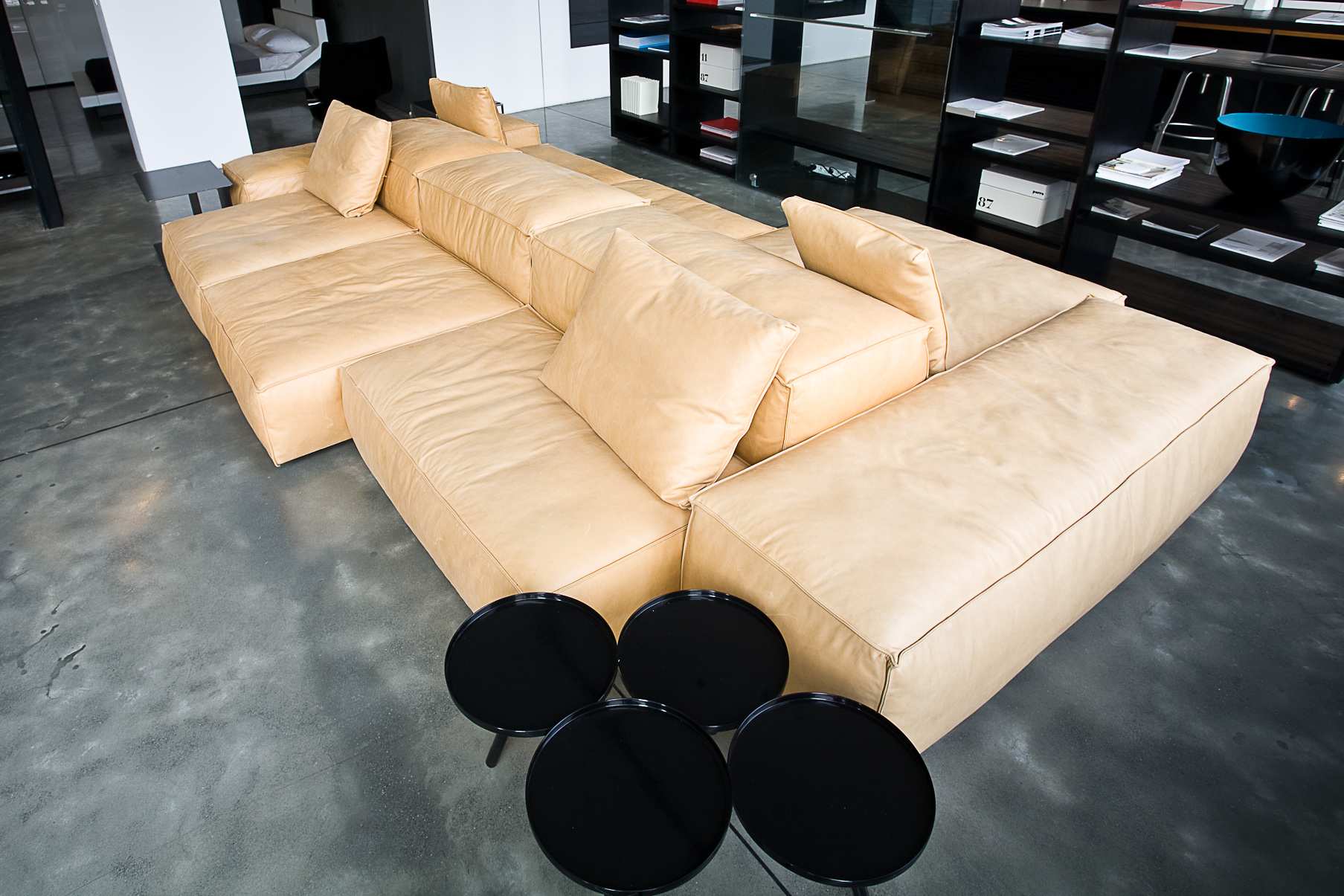 Kanapa ExtraSoft projekt Piero Lissoni Living Divani Wykończenie: skóra