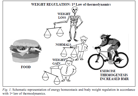 NEURO-HORMONAL CONTROL OF FOOF INTAKE; BASIC MECHANISMS AND CLINICAL