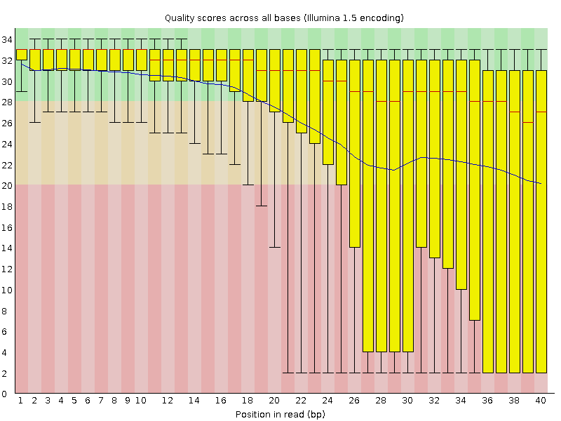 Per base sequence quality Jakość dla każdej pozycji Mediana Wykres pudełkowy Max/min Średnia Ostrzeżenie niższy