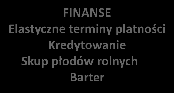 Strategia firmy budowanie mocnych filarów KAPITAŁ LUDZKI Zespół Wiedza Doświadczenie Zarządzanie PRODUKTY Środki ochrony roślin