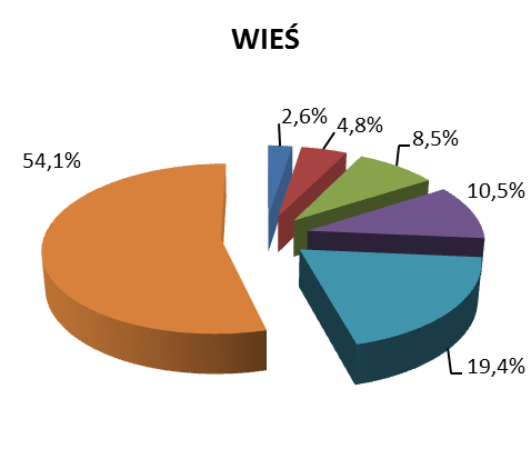 Wykres 3. MIESZKANIA ZAMIESZKANE WEDŁUG POWIERZCHNI UŻYTKOWEJ W 2011 R.