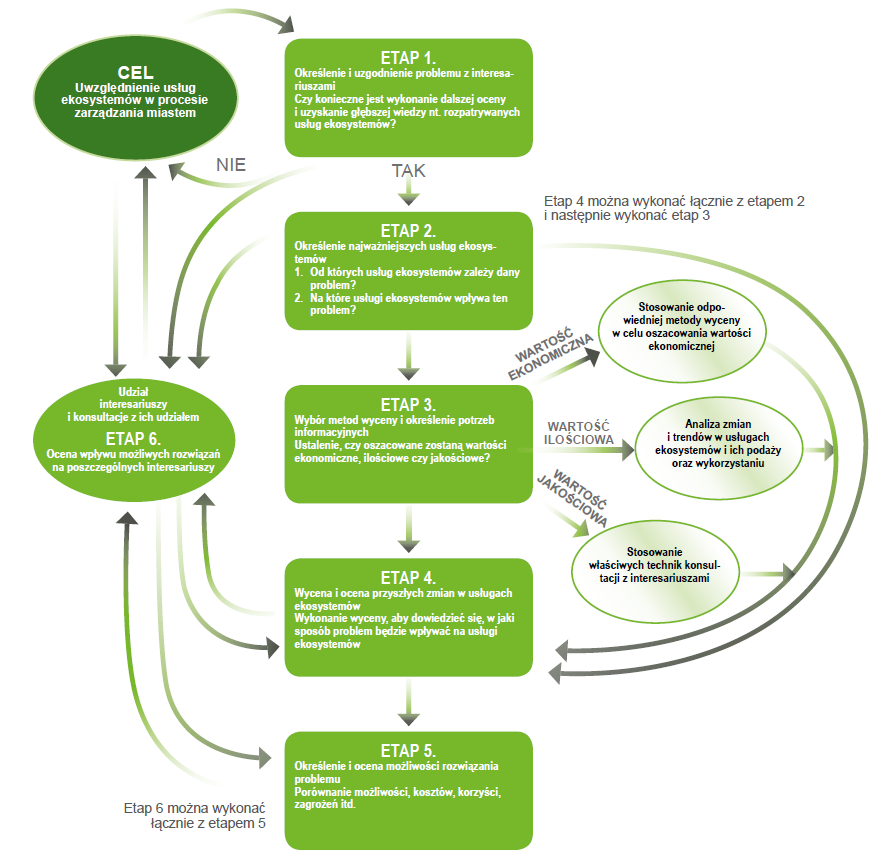 Włączenie koncepcji usług ekosystemowych do polityki i procesu decyzyjnego Poradnik TEEB dla miast: