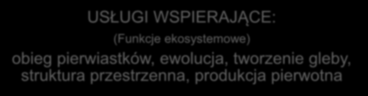 Klasyfikacja usług ekosystemowych USŁUGI WSPIERAJĄCE: (Funkcje ekosystemowe) obieg pierwiastków, ewolucja, tworzenie gleby, struktura przestrzenna, produkcja pierwotna USŁUGI PRODUKCYJNE: pożywienie,