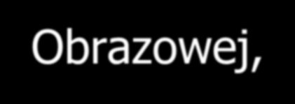 Zakres inwestycji pn. Utworzenie Centrum Urazowego - utworzenie Pracowni Endoskopii diagnostycznej i zabiegowej czynnej całą dobę, której otwarcie odbyło się w czerwcu 2012 r.