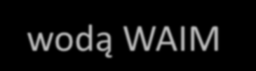 Metody wtryskiwania wspomaganego gazem