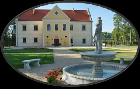Pałac Męcińskich Pałac Męcińskich w Działoszynie stoi na zachód od centrum miasta, na tarasie zalewowym Warty.