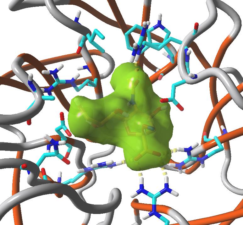 neuramidaza wirusa grypy H5N1