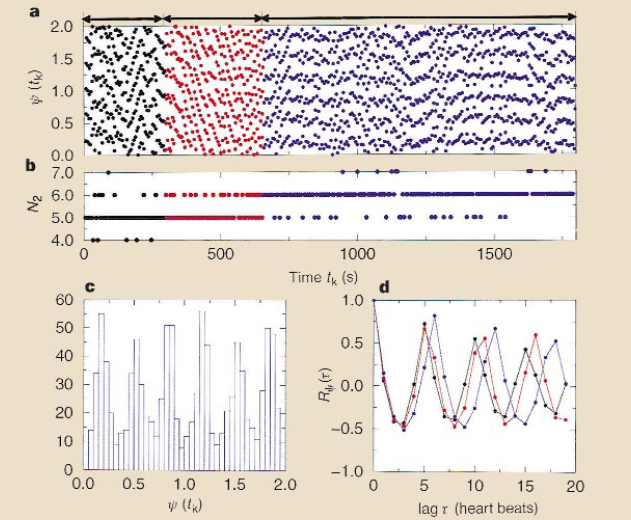 Cardiorespiratory coupling U sportowców wyczynowych U normalsów podczas snu Synchrograms Phase lock Phase slips Phase transitions
