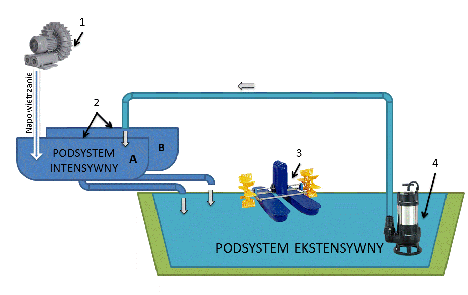 System Zintegrowany Podsystem intensywny: 4 baseny x 10m 3 przepływ ~2V/h napowietrzanie obsada: