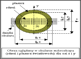 4. Wykonywanie połączeń trwałych światłowodów przy pomocy spawarki światłowodowej Fusion Splicer X75. 5. Wykonywanie zabezpieczeń połączeń spawanych różnymi metodami i montaż w mufie światłowodowej.