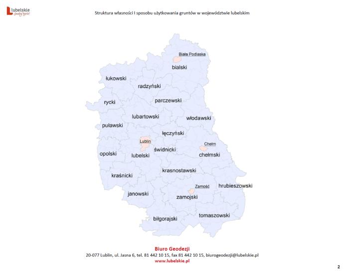 pod tytułem Struktura własności i