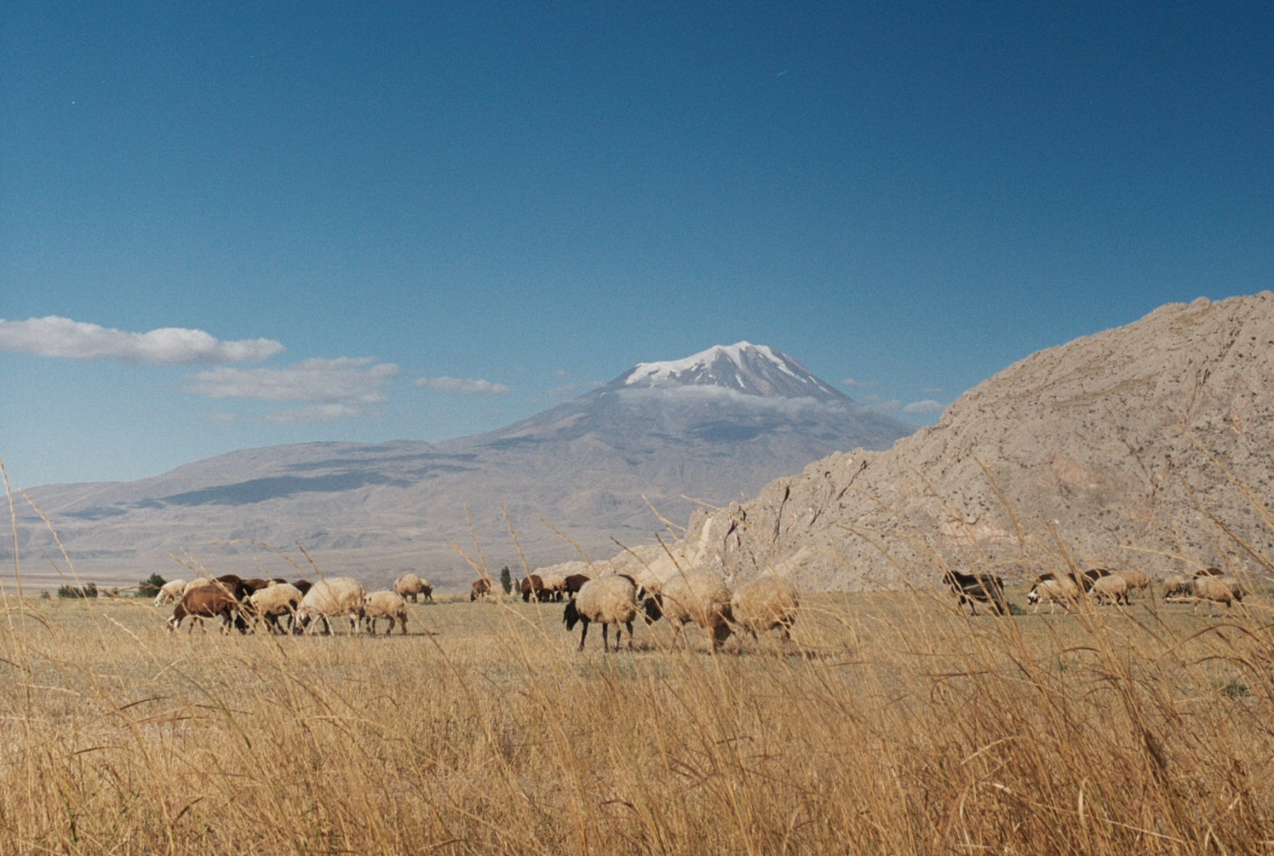 wyprawa wspinaczkowa na Ararat trekking w malowniczych