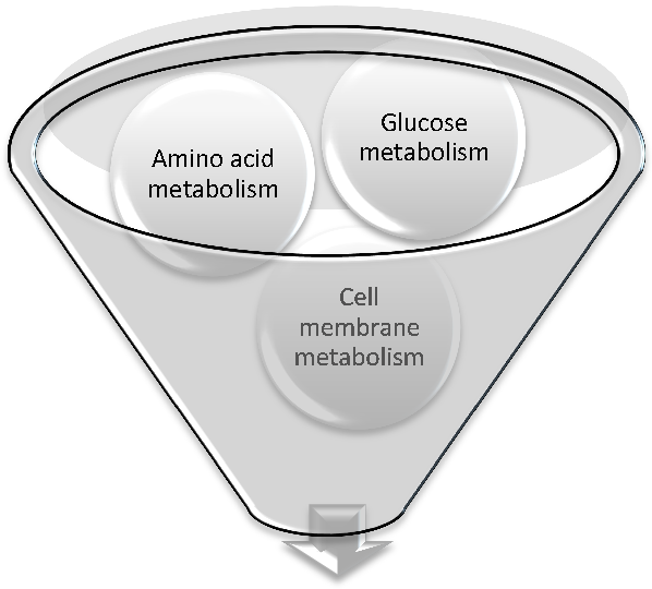 METABOLICZNE PRZEPROGRAMOWANIE AMINOK WASY GLUKOZA PALIWO Glukoza,