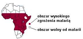 Określ, jakie warunki genetyczne w pokoleniu rodziców muszą być spełnione, by urodziła się chora na hemofilię dziewczynka.. Zadanie 12.