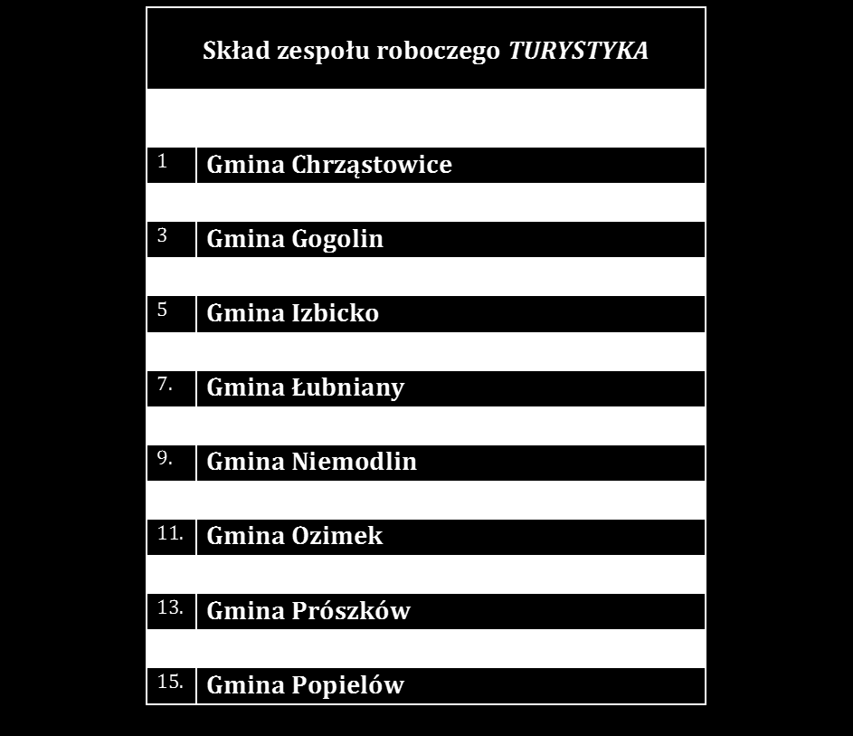 Powołanie zespołu roboczego Turystyka Prace zespołu roboczego Turystyka zainaugurowane zostały 29 stycznia 2013 r. Wypracowanych zostało 5 propozycji pakietów turystycznych.