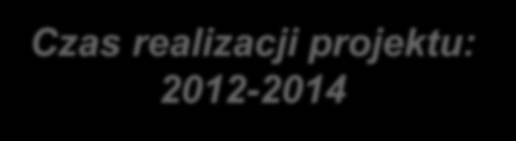 Założenia Projekt dotyczy budowy 100 małych elektrowni o mocy elektrycznej od 0.5 do 1.