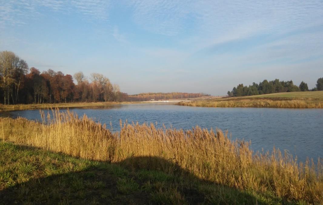 Zbiornik Bobra Wielka (rysunek 2) o całkowitej powierzchni 14 hektarów i maksymalnej pojemności 250 tys. m 3 umiejscowiony jest w gminie Nowy Dwór, na rzece Biebrza.