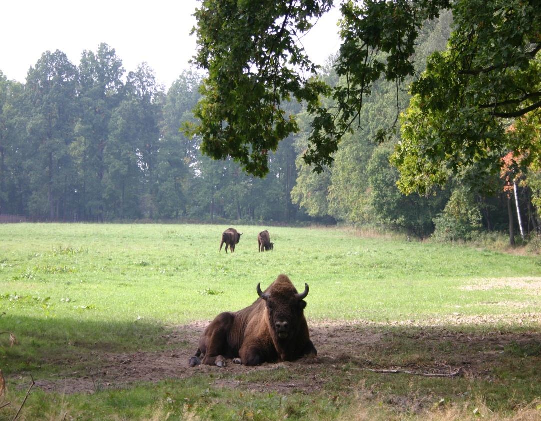 Punkty edukacji przyrodniczej (arboreta, ogródki dendrologiczne, zwierzyńce, rezerwaty