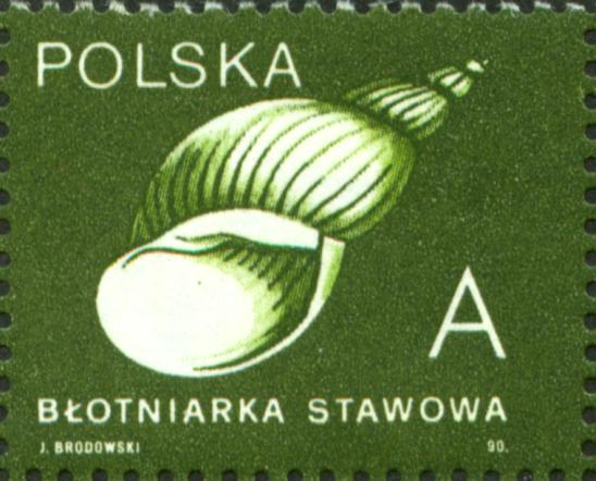 nr 36, czasopiśmie filatelistów czeskich kolekcjonujących polskie znaczki. Próbę ich specjalizacji przedstawiono w Podręczniku Specjalizowanym Polskich Znaczków Pocztowych.