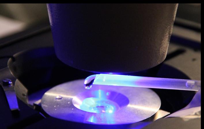 Identification of MMP-9