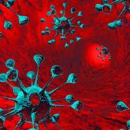 Infliksymab - chłoniaki Chłoniak T komórkowy wątroby o dużej inwazyjności u starszych dzieci i młodych dorosłych z ChL-Cr (leczonych
