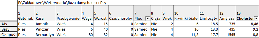 3. Jeżeli chcemy usunąć wszystkie kryteria filtrowania zastosowane do wybranej zmiennej należy wybrać opcję Wszystkie.