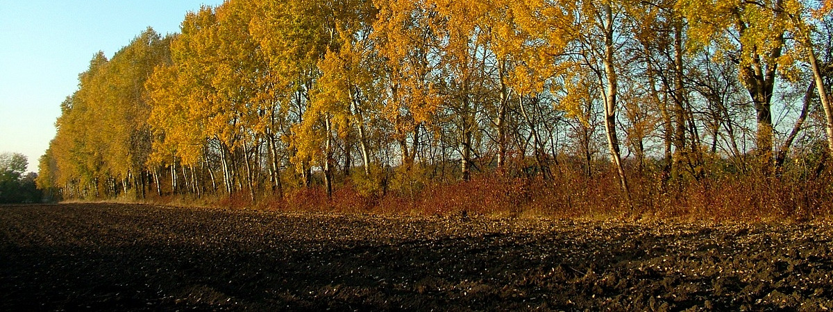 przestrzeni (odnośnie