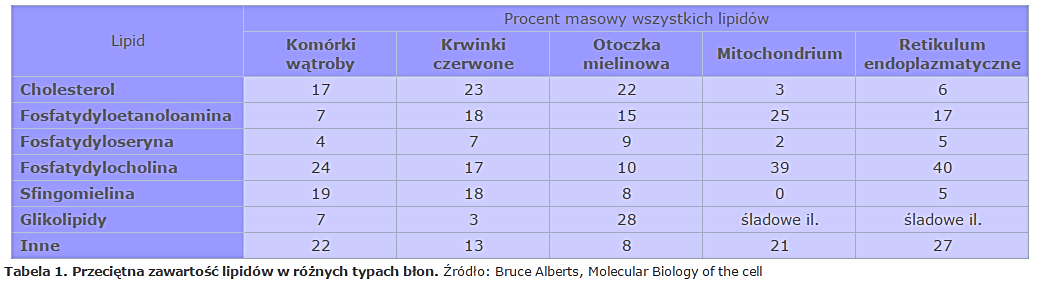 Gdzie on jest? Najwięcej w błonach: błony zewnętrzne zawierają od 40-90% całego lipidu.