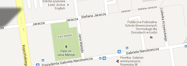 Po powrocie do szkoły rzuciliśmy jeszcze raz okiem na www.google.