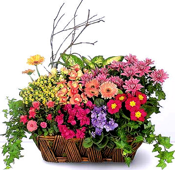 Happy Birthday to: Ania Kasprzak 8.2 Sarah Mrozowska 8.2 Marzena Patryarcha 8.2 Estera Klauza 10.2 Kontakty/Linki Contacts/Links: Polski Kościół ADS / Polish SDA Church - Dandenong 03 9793 4007 www.