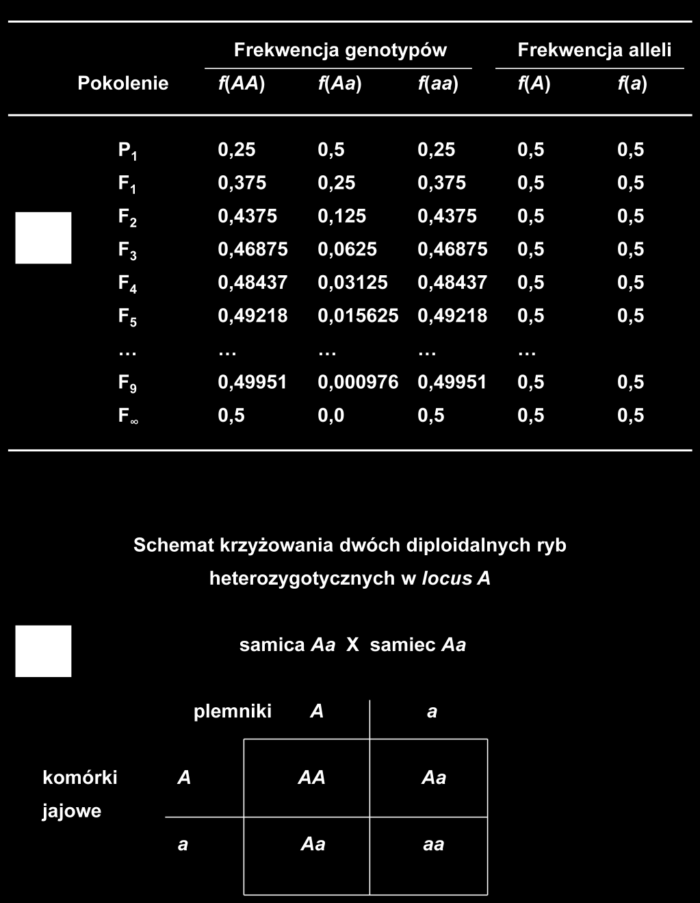 32 Rysunek 7. Wpływ krzyżowania wsobnego hipotetycznej populacji diploidalnych ryb na frekwencję alleli oraz genotypów występujących w danym locus.