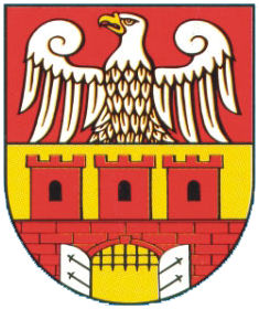POWIAT CHODZIESKI POWIATOWY PROGRAM DZIAŁAŃ NA