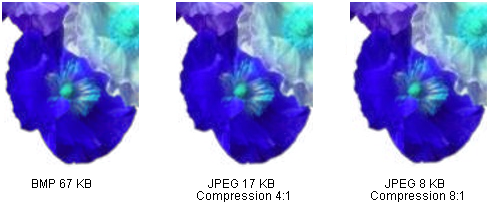 BMP a JPEG PNG format graficzny wykorzystujacy kompresje bezstratna jest formatem pozbawionym ograniczeń narzucanych przez w laściciela praw patentowych - stworzony przez internautów może być używany