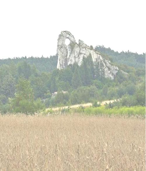 JURA 2014 r. DRUŻYNA PIERŚCIENIA II Mamy ponownie zaszczyt, zaprosić Was na Jurę Krakowsko-Częstochowską.