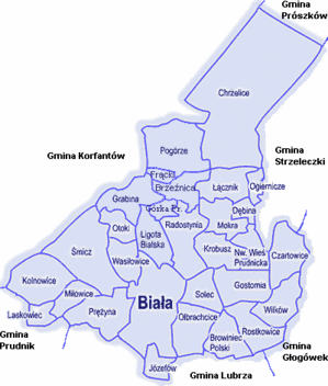 3.2. Położenie geograficzne Gmina położona jest w podregionie Płaskowyżu Głubczyckiego i Równiny Niemodlińskiej, w dorzeczu Osobłogi, lewobrzeżnego dopływu Odry.