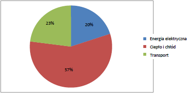Udział ciepła w bilansie zużycia energii końcowej brutto w 2010 roku W gospodarstwach domowych ciepło na