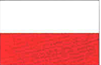 POLSKA OK. 40% RYNKU EUROPY ŚRODKOWEJ (DANE PRZYBLIŻONE) Ogólne: Liczba mieszkańców 38,2 mln Liczba gosp. dom. 13,5 mln Liczba sklepów AGD ok. 2.000 Grupy produktowe rep.