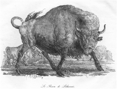 1783 roku Królewska zwierzyna łowna 1700: pierwsze