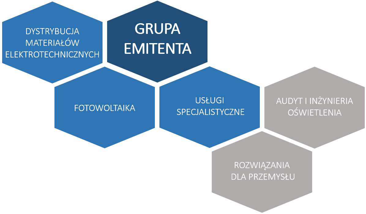 4. POZOSTAŁE INFORMACJE DO RAPORTU KWARTALNEGO 1. PODSTAWOWA DZIAŁALNOŚĆ Spółka GRODNO S.A. jest dystrybutorem artykułów elektrotechnicznych i oświetleniowych działającym na polskim rynku.