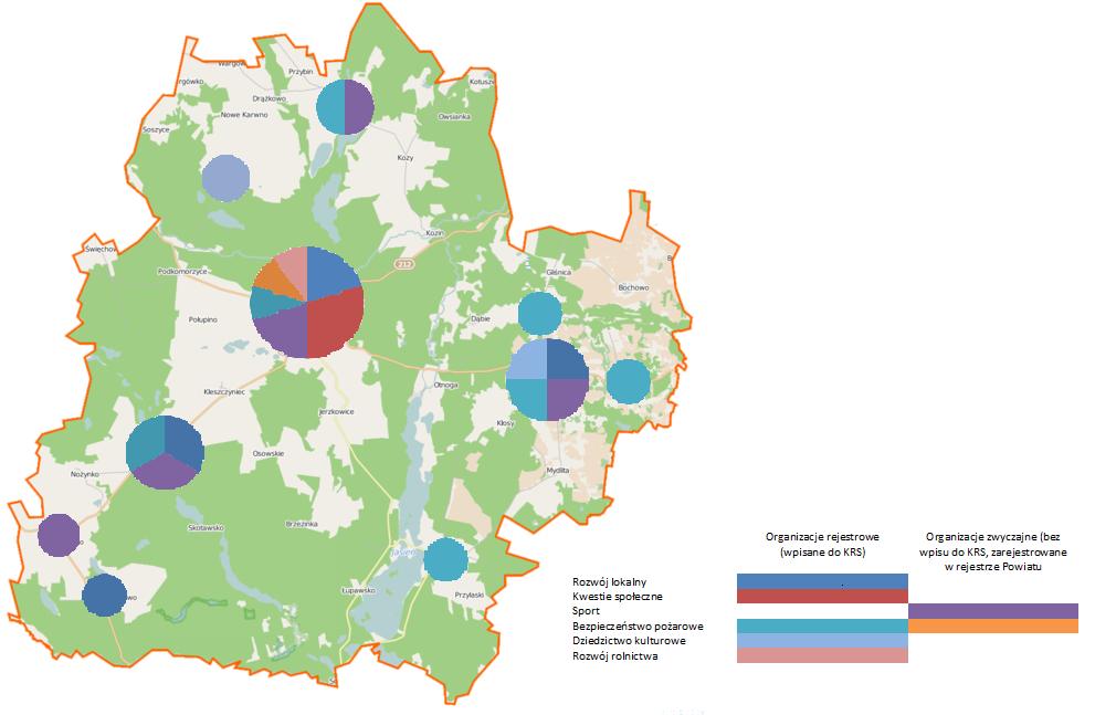 Strona28 Rycina 28. Rozkład organizacji pozarządowych oraz profilu ich działalności na terenie Gminy Czarna Dąbrówka (na koniec 2014 r.