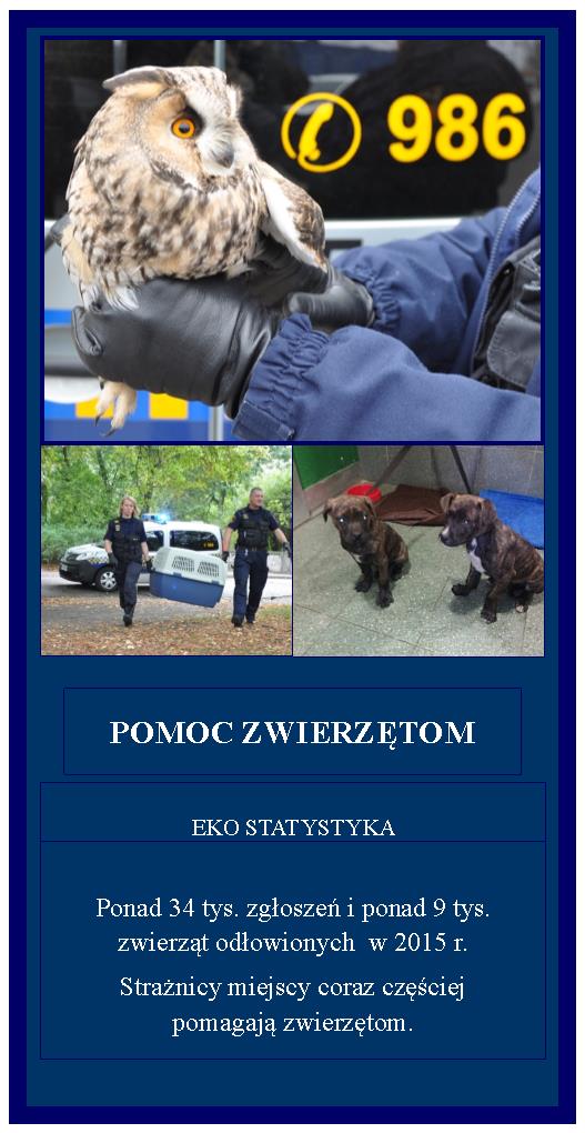 Straż miejska, realizując zadanie w zakresie zapewnienia porządku publicznego na terenie miasta, podejmuje również interwencje związane ze zwierzętami. Jest to główne zadanie Referatu ds.